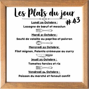 Plat du jour (sauf le samedi, uniquement le midi)